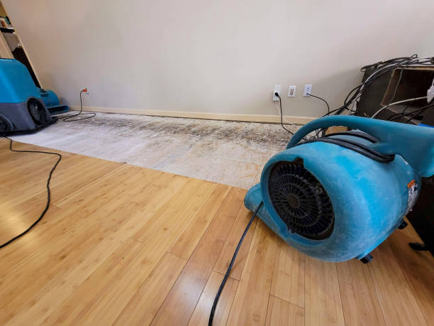 Professional Water Damage Repair technician working in Rhode Island, RI